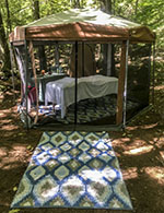 Treatment tent in woods photo